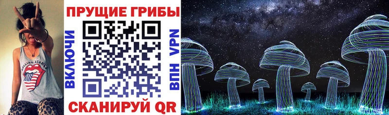 Купить Дудинка Галлюциногенные грибы мухоморы